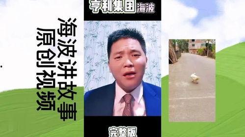 亨利集团赵海波爆料视频,独家爆料视频深度解析  第3张